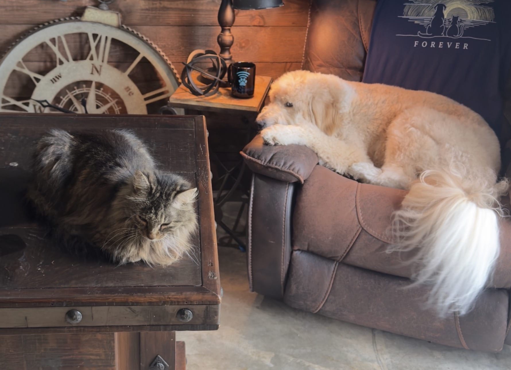 Inspired by Companionship